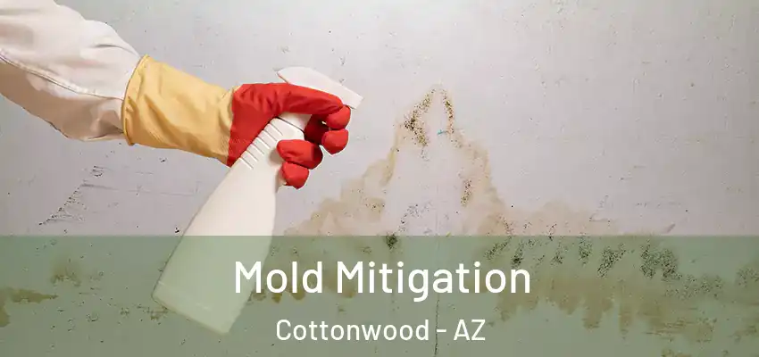 Mold Mitigation Cottonwood - AZ