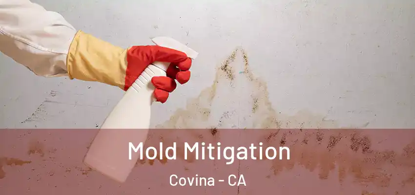 Mold Mitigation Covina - CA