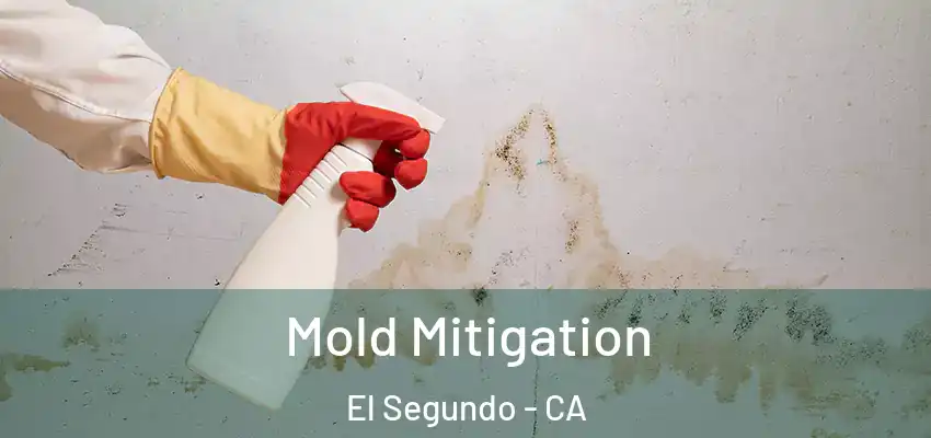 Mold Mitigation El Segundo - CA