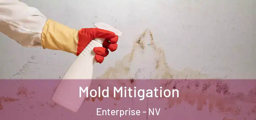 Mold Mitigation Enterprise - NV