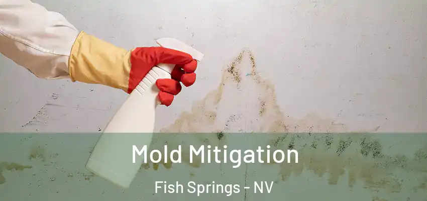  Mold Mitigation Fish Springs - NV