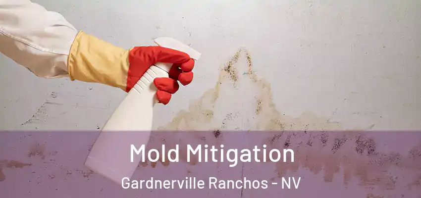  Mold Mitigation Gardnerville Ranchos - NV