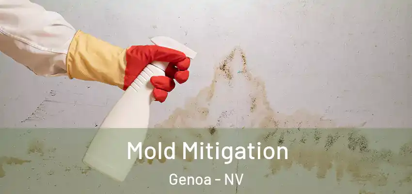 Mold Mitigation Genoa - NV