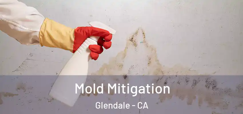 Mold Mitigation Glendale - CA