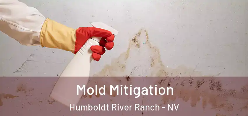  Mold Mitigation Humboldt River Ranch - NV