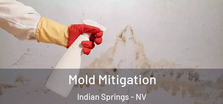  Mold Mitigation Indian Springs - NV