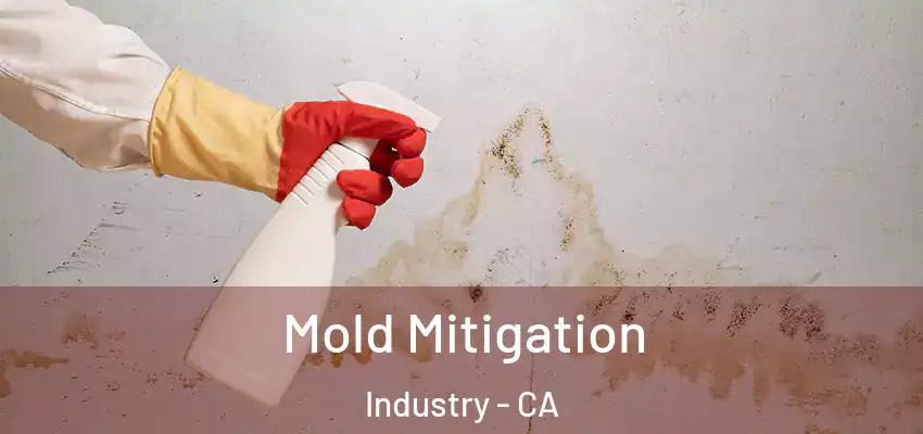 Mold Mitigation Industry - CA