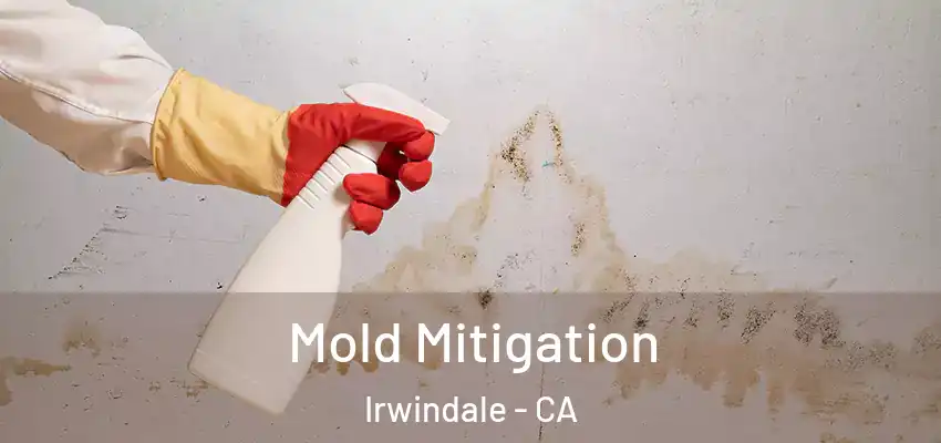 Mold Mitigation Irwindale - CA