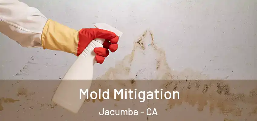 Mold Mitigation Jacumba - CA