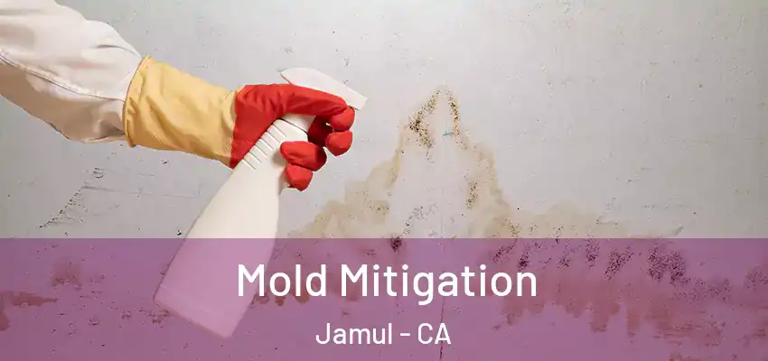 Mold Mitigation Jamul - CA