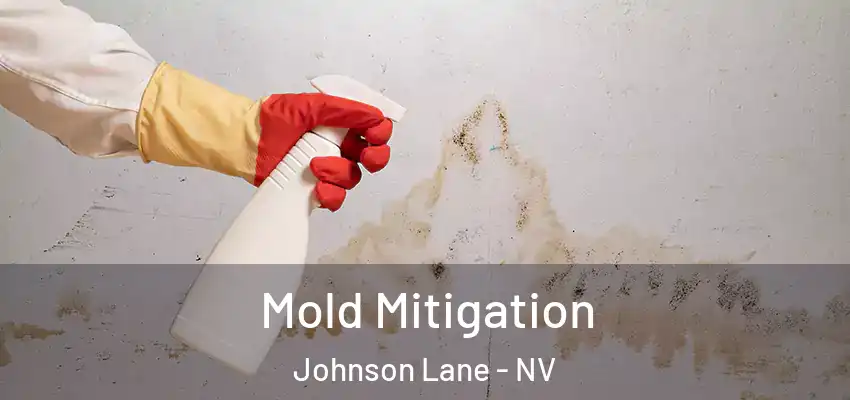 Mold Mitigation Johnson Lane - NV