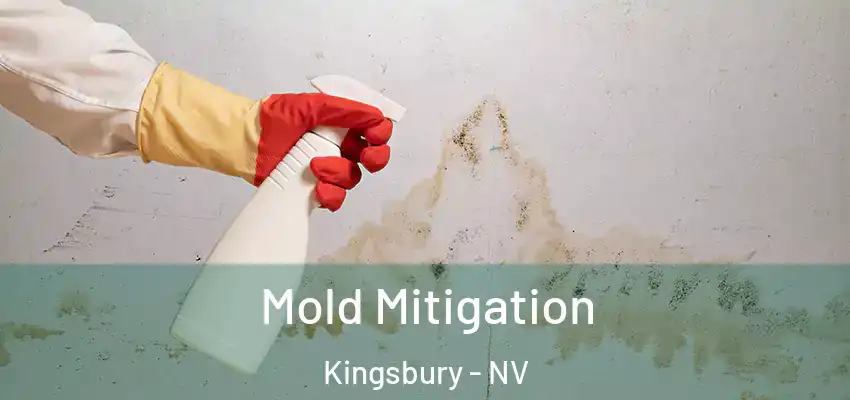  Mold Mitigation Kingsbury - NV