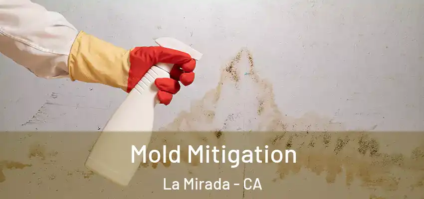 Mold Mitigation La Mirada - CA