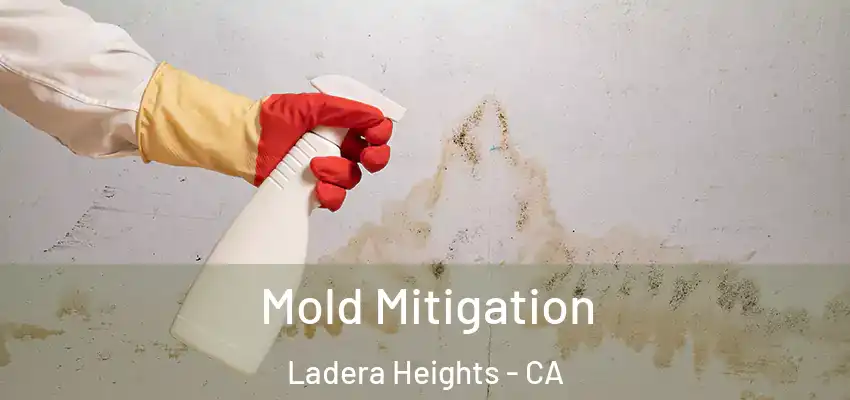 Mold Mitigation Ladera Heights - CA