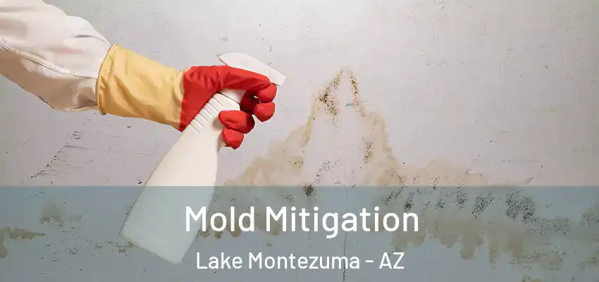 Mold Mitigation Lake Montezuma - AZ