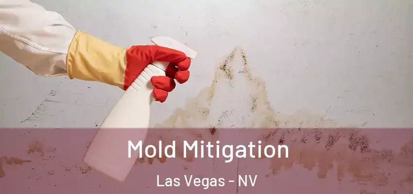  Mold Mitigation Las Vegas - NV
