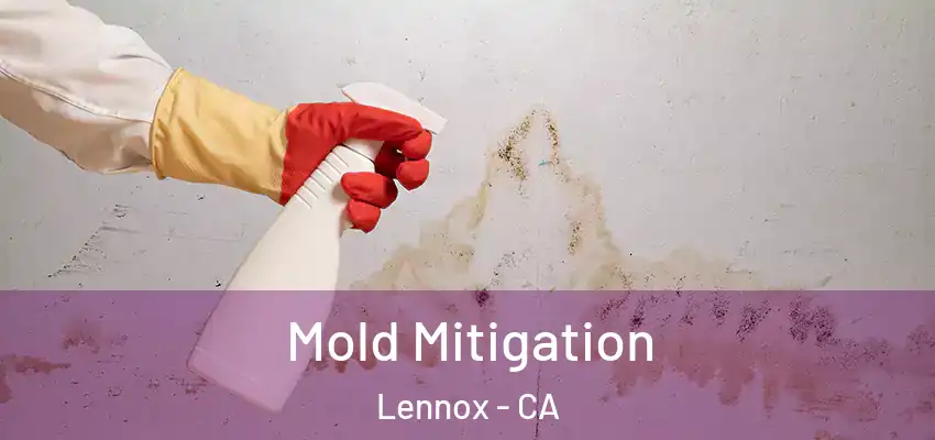 Mold Mitigation Lennox - CA