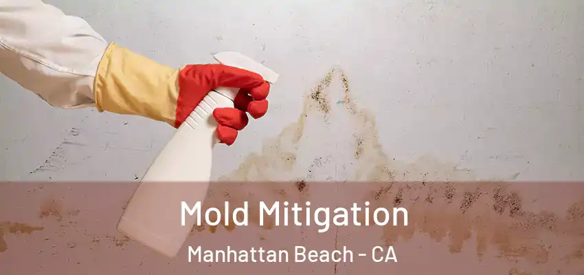 Mold Mitigation Manhattan Beach - CA