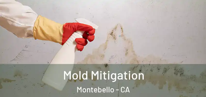 Mold Mitigation Montebello - CA