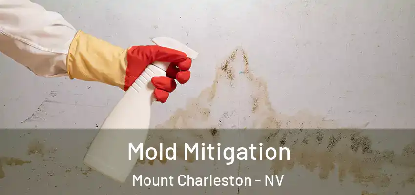  Mold Mitigation Mount Charleston - NV