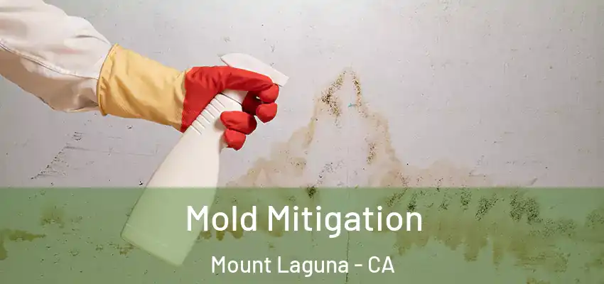 Mold Mitigation Mount Laguna - CA