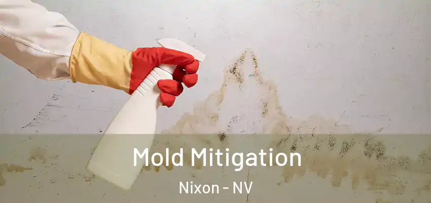 Mold Mitigation Nixon - NV