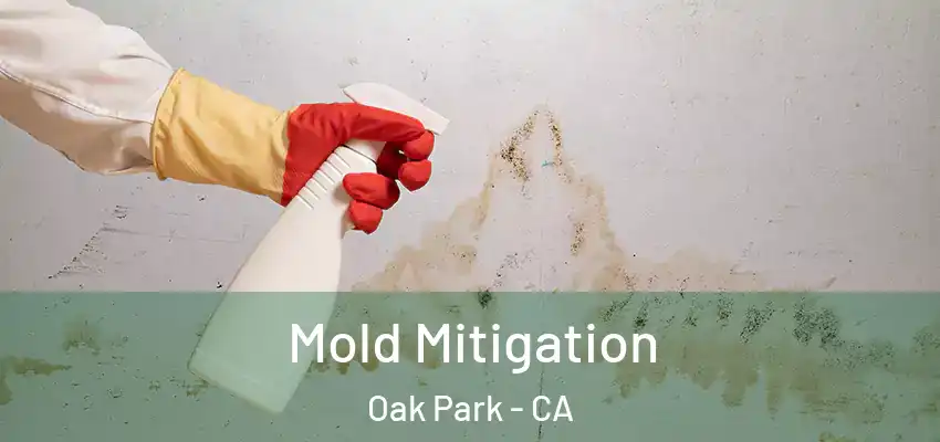Mold Mitigation Oak Park - CA