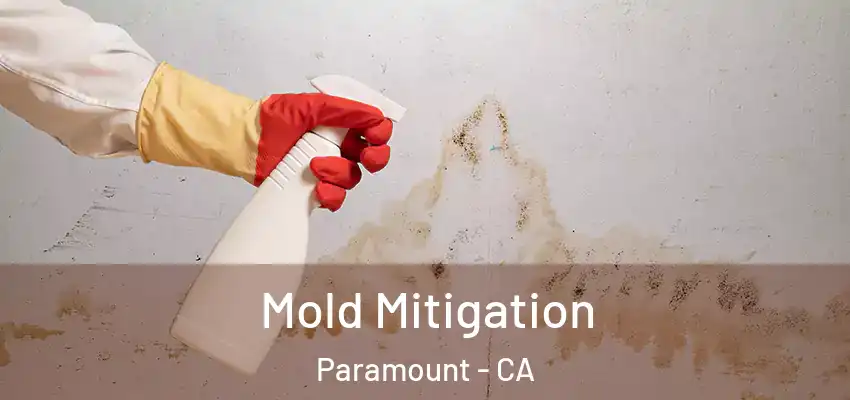 Mold Mitigation Paramount - CA