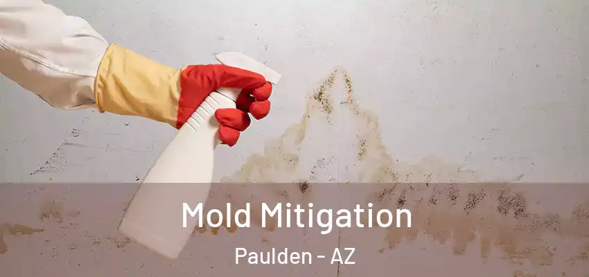  Mold Mitigation Paulden - AZ