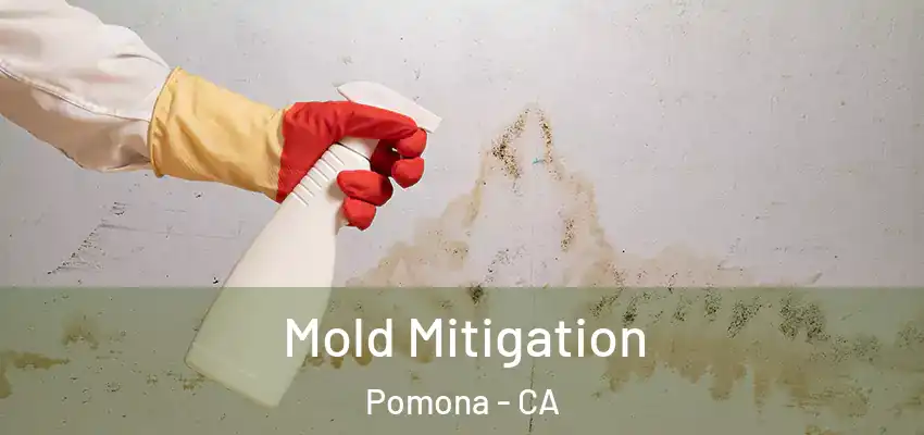 Mold Mitigation Pomona - CA