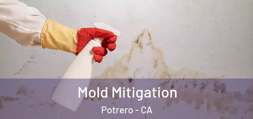 Mold Mitigation Potrero - CA