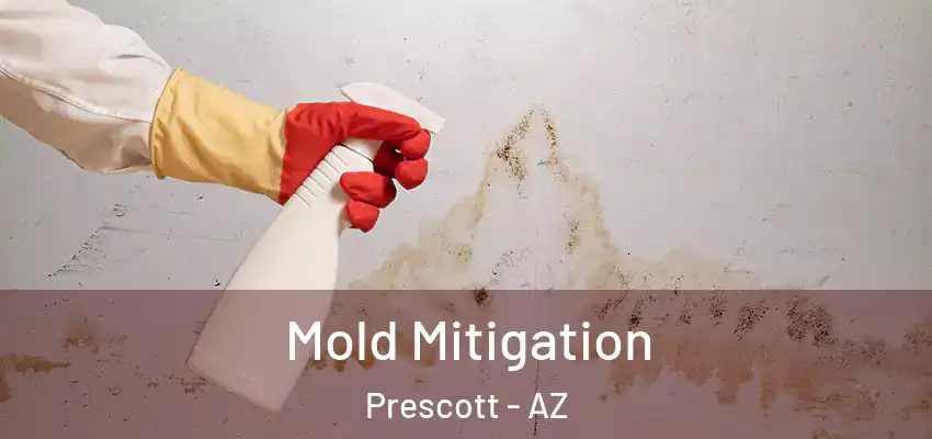 Mold Mitigation Prescott - AZ