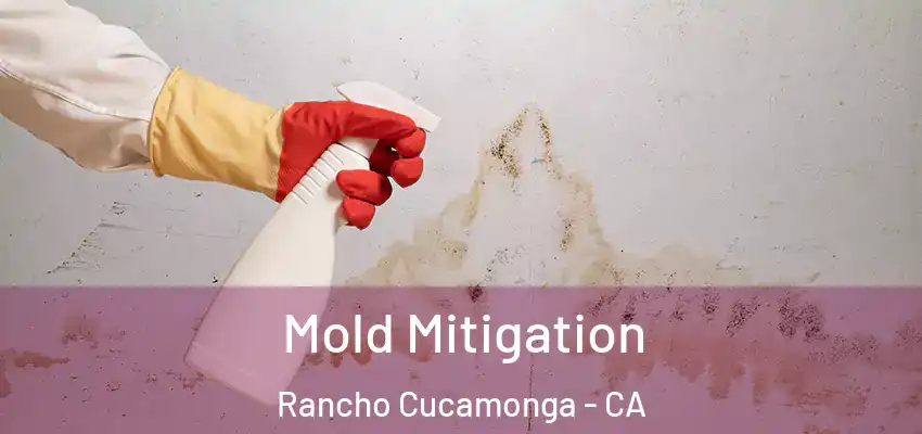 Mold Mitigation Rancho Cucamonga - CA