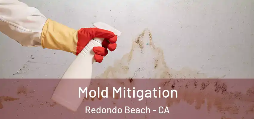 Mold Mitigation Redondo Beach - CA