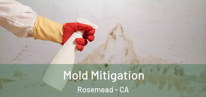 Mold Mitigation Rosemead - CA