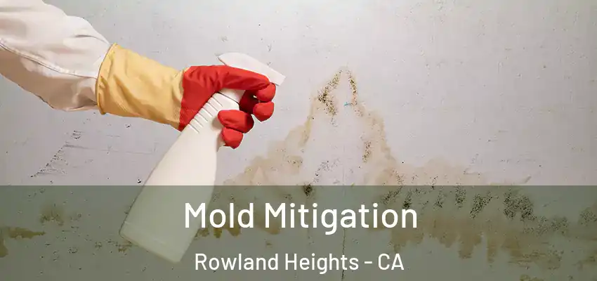 Mold Mitigation Rowland Heights - CA