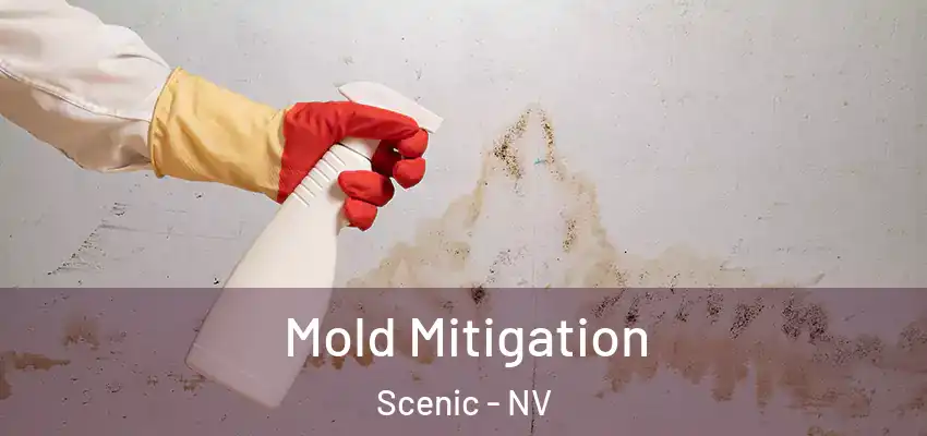 Mold Mitigation Scenic - NV