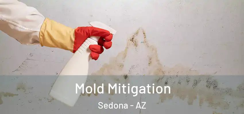  Mold Mitigation Sedona - AZ