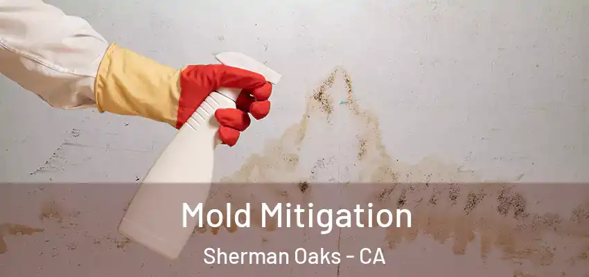  Mold Mitigation Sherman Oaks - CA