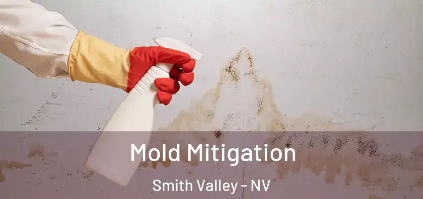 Mold Mitigation Smith Valley - NV