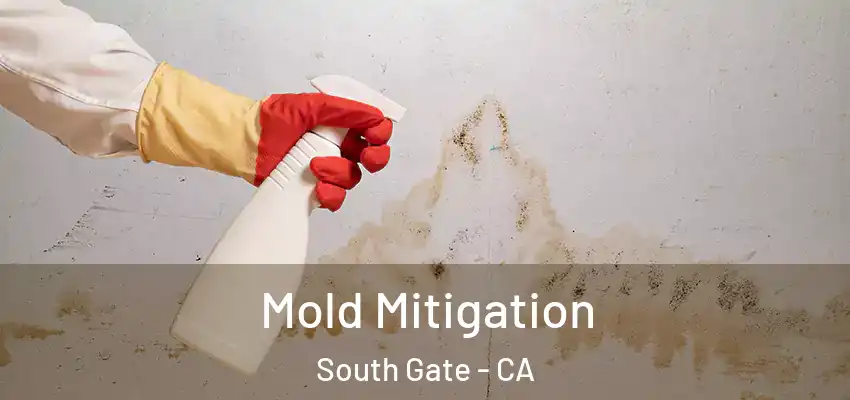 Mold Mitigation South Gate - CA