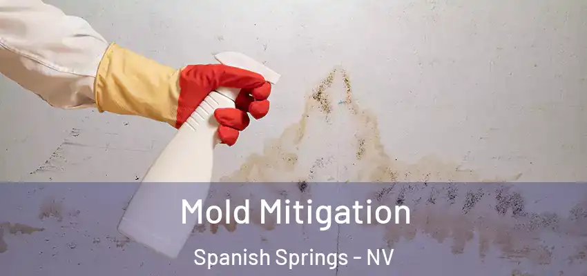  Mold Mitigation Spanish Springs - NV