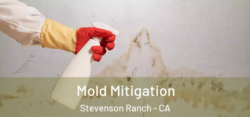 Mold Mitigation Stevenson Ranch - CA