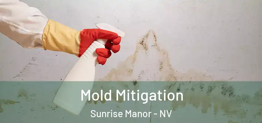  Mold Mitigation Sunrise Manor - NV