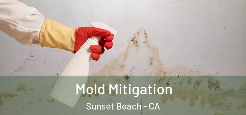 Mold Mitigation Sunset Beach - CA