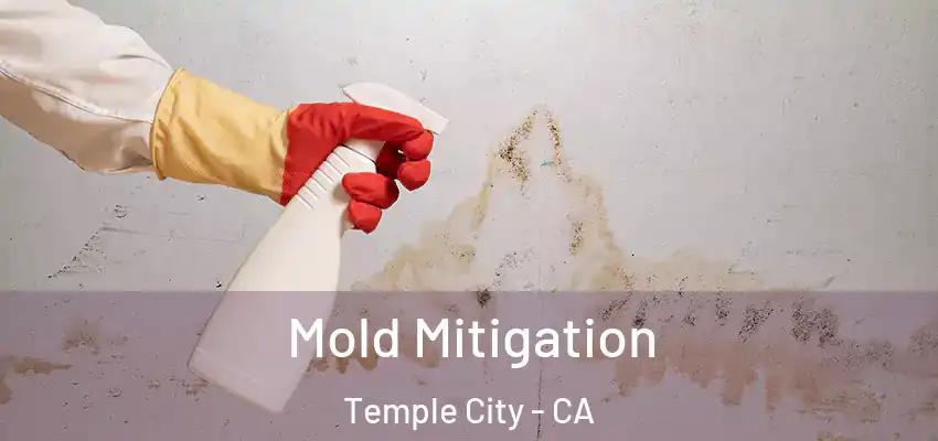 Mold Mitigation Temple City - CA