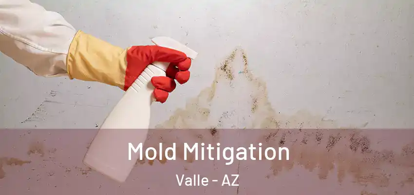  Mold Mitigation Valle - AZ