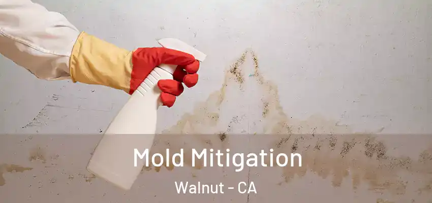 Mold Mitigation Walnut - CA
