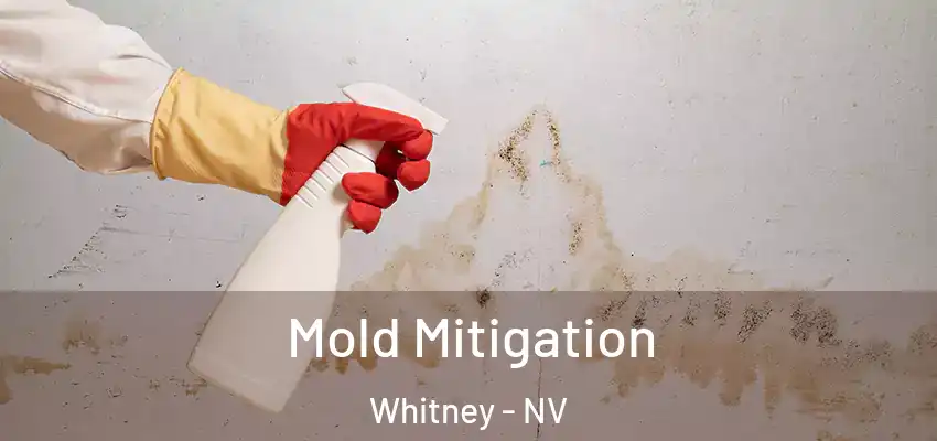 Mold Mitigation Whitney - NV