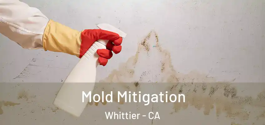 Mold Mitigation Whittier - CA